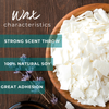 NatureWax C-3 Soy Wax Flakes