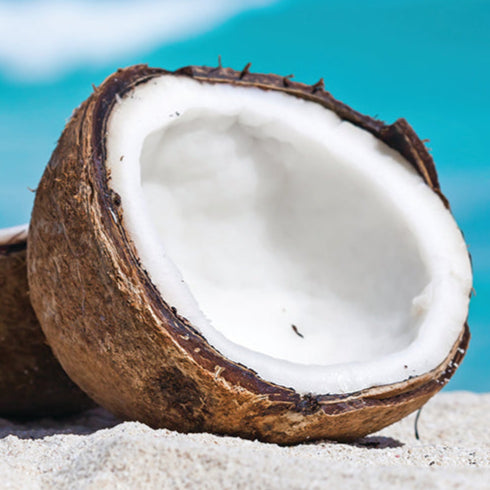 Salted Coconut Fragrance Oil