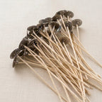 Bundle of Eco 6 inch pre-tabbed candle wicks