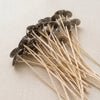 Eco-10 6" Pre-Tabbed Wicks