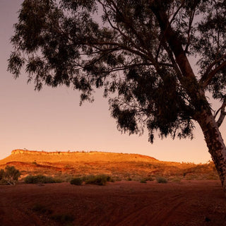 Outback Fragrance Oil