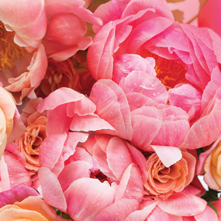 Peony & Rose Petals Fragrance Oil