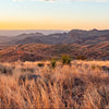 Texas Meadow Fragrance Oil