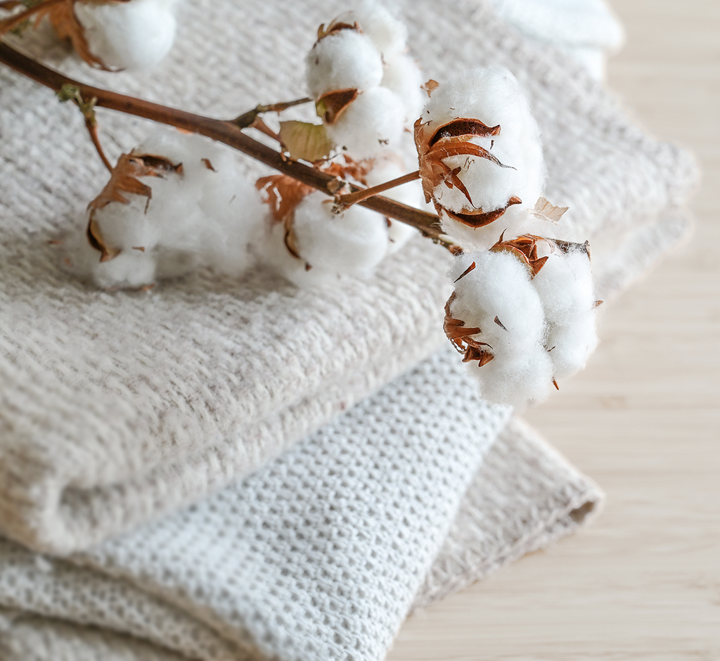 Cotton bolls on a soft folded white blanket