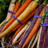 Carrot & Nectarine Fragrance Oil