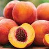 Fresh Peach Fragrance Oil