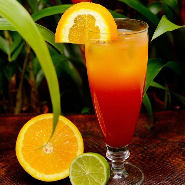 multihued tropical drink in tall glass with exotic plants in background
