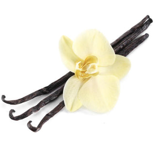 Vanilla Fragrance Oil - Candle Making / Soap /Melts Concentrated - Essential Oils based - works great with coconut / soy or paraffin  **FREE SHIPPING**